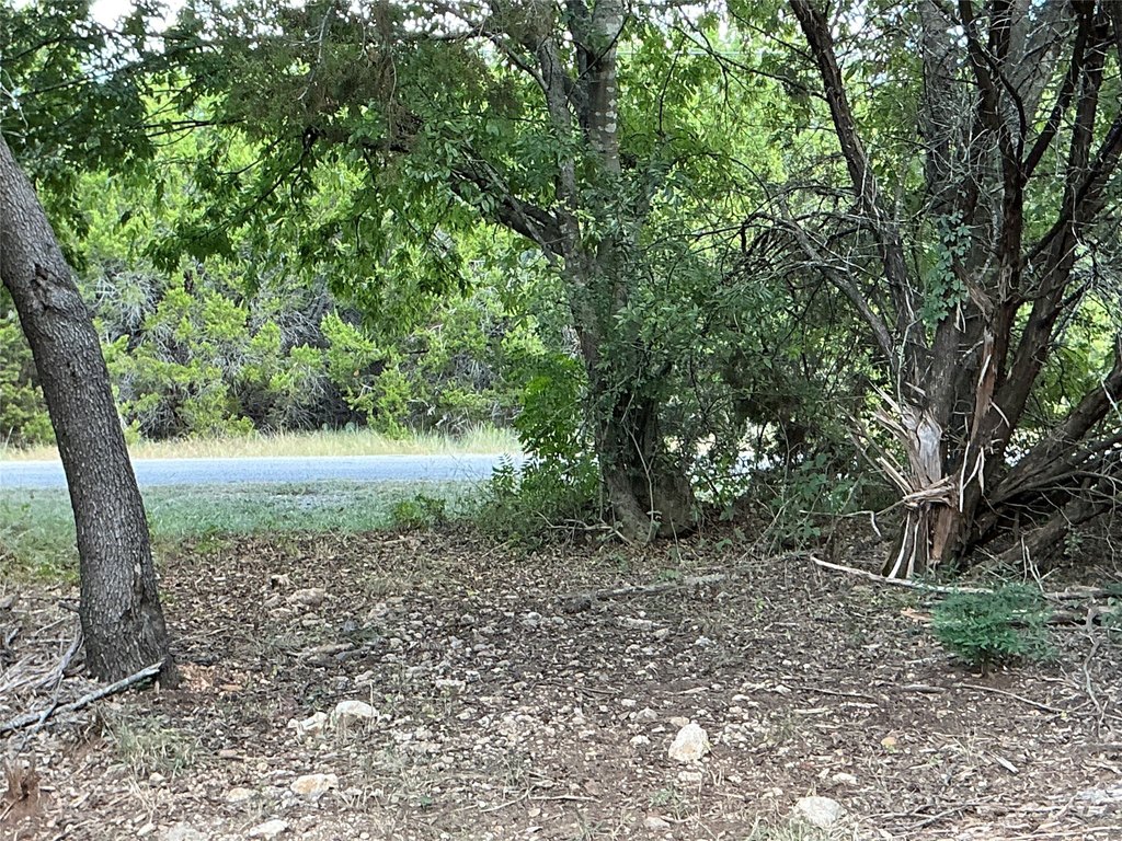 Picture 23