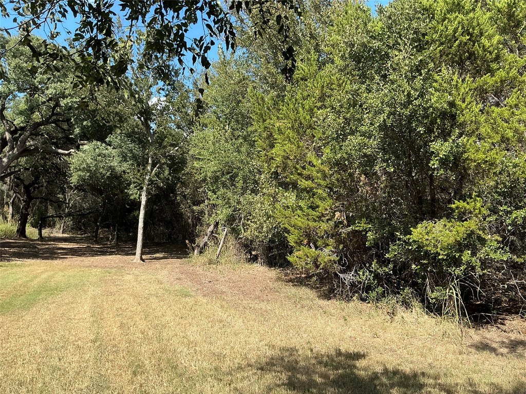 Picture 18