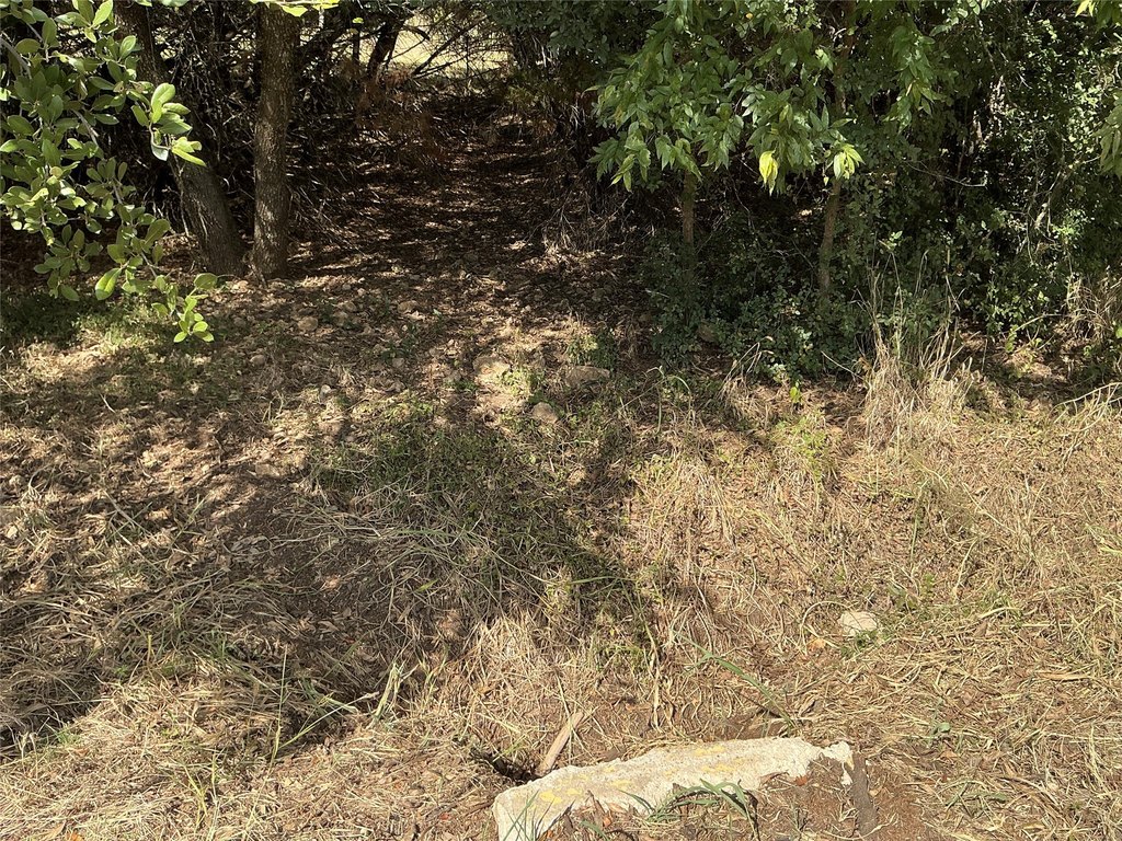 Picture 11