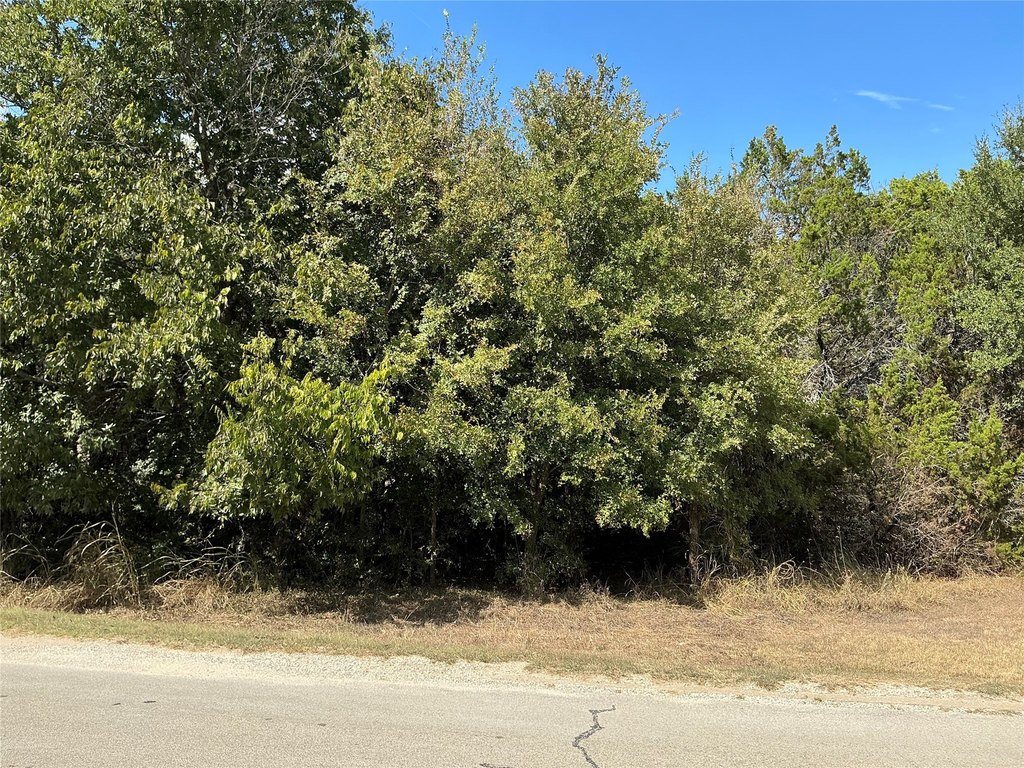 Picture 5