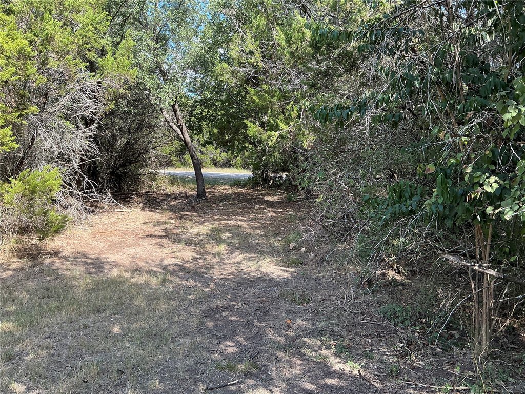 Picture 20