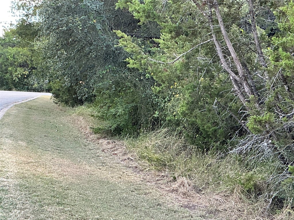 Picture 24