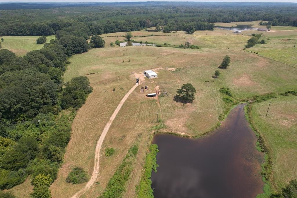 Pasture Land with Bardominium