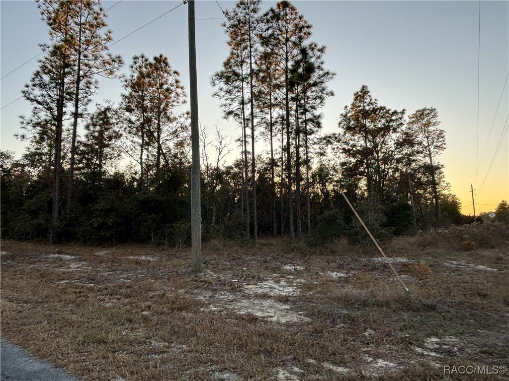 Dunnellon, FL Home Site