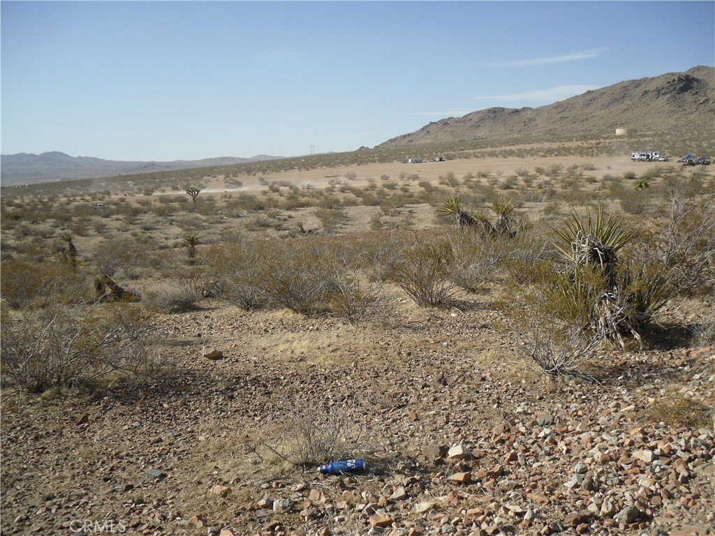 Picture 5