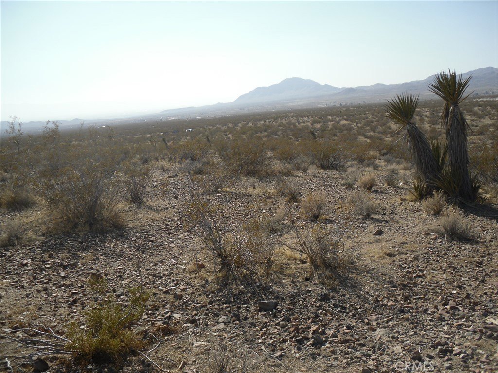 Picture 2