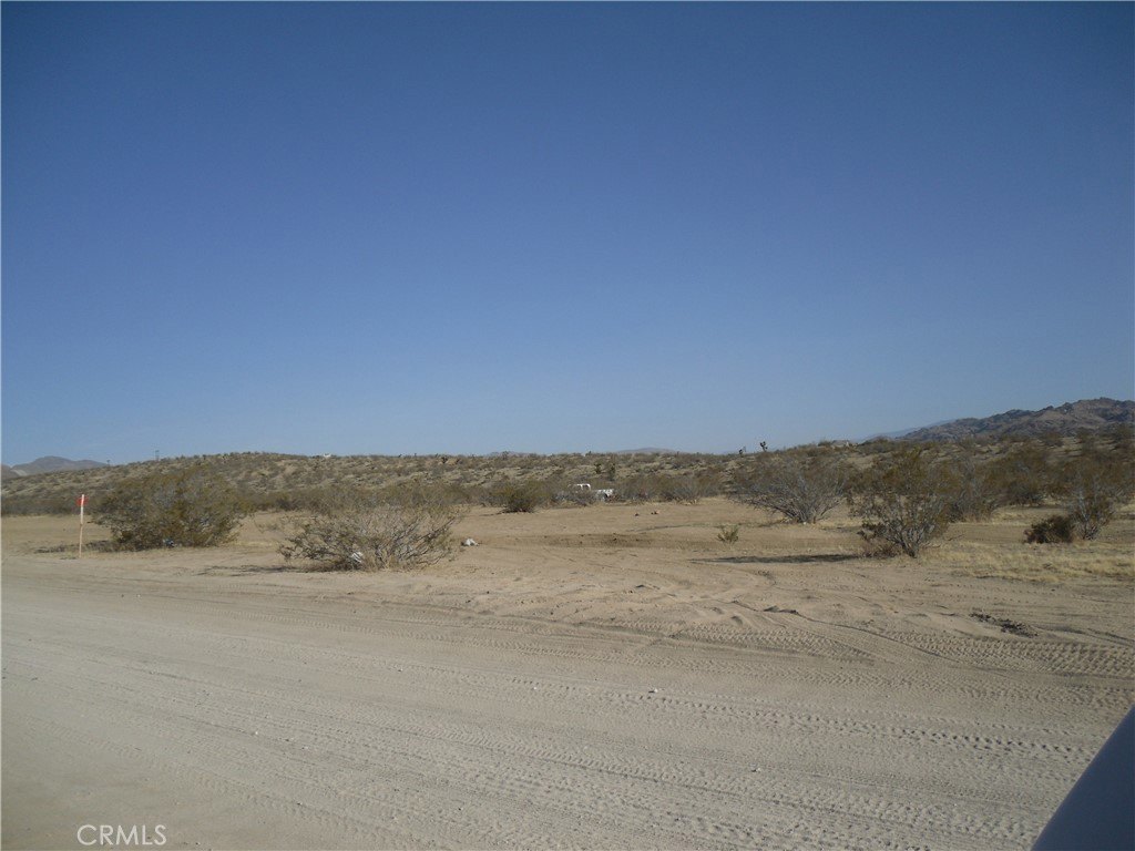 Picture 6