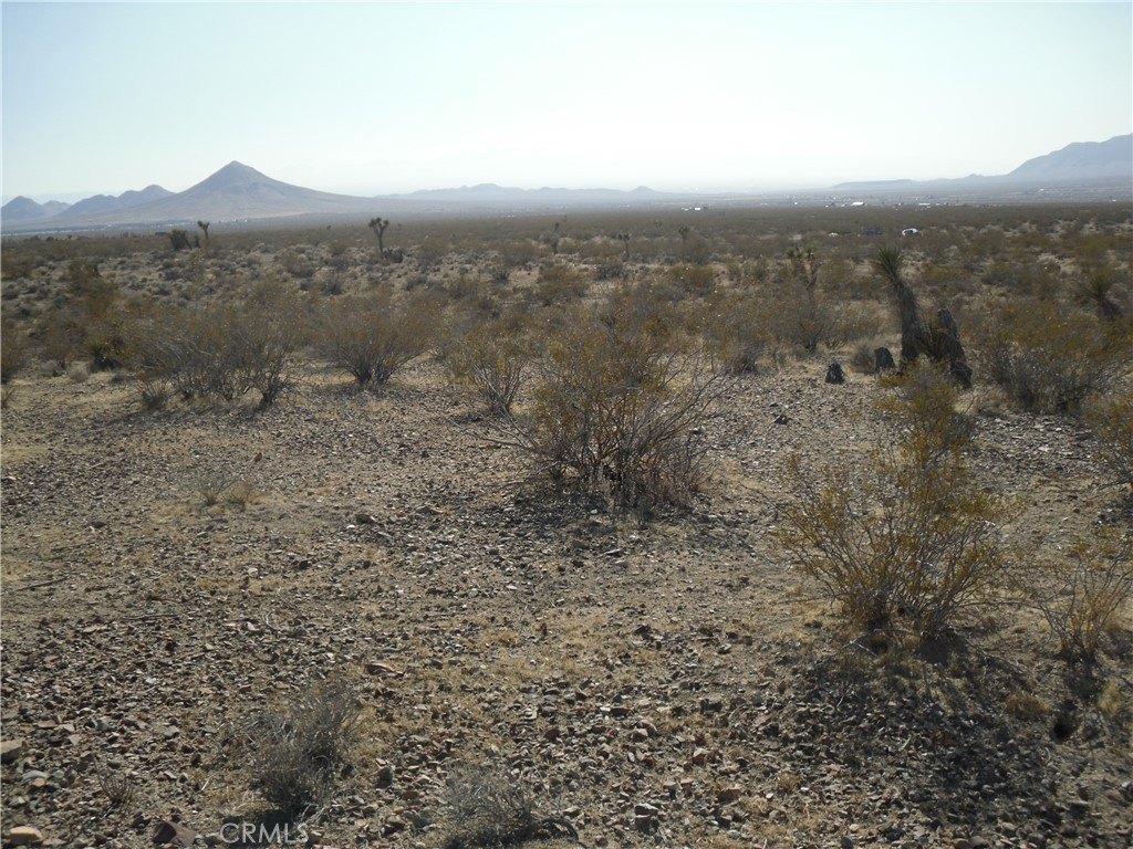 Picture 3