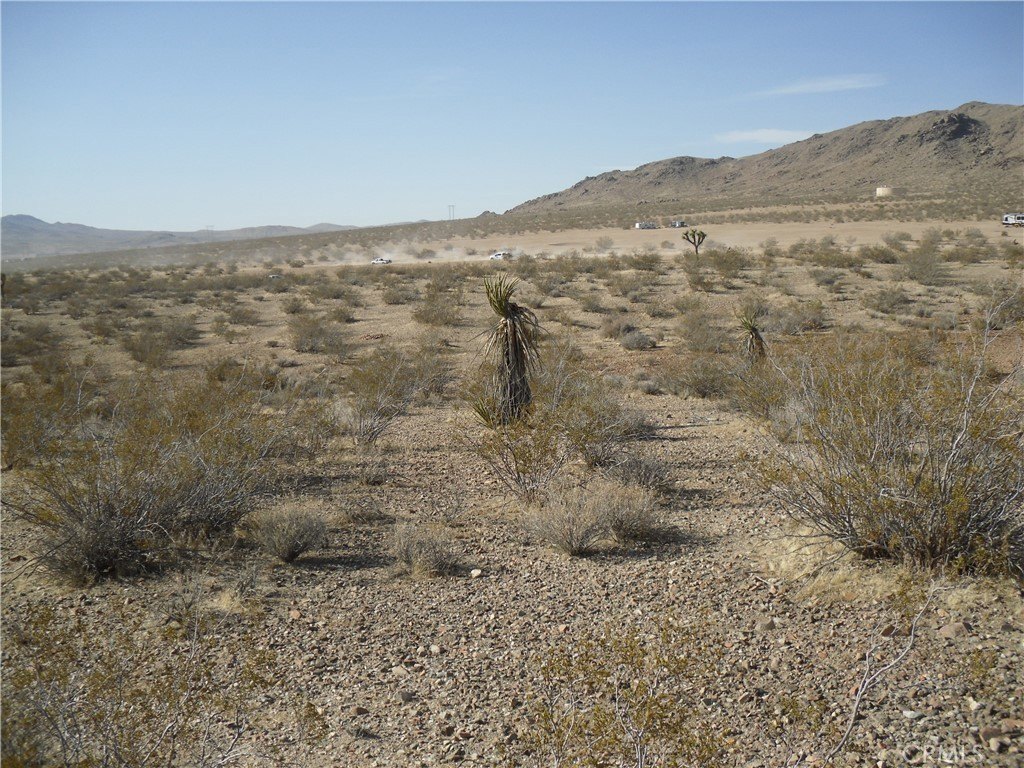Picture 4