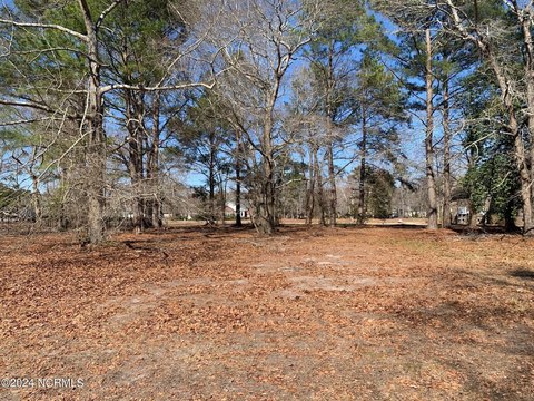 Land, Wallace, NC