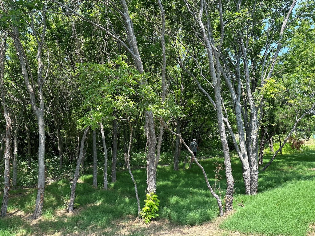Picture 4