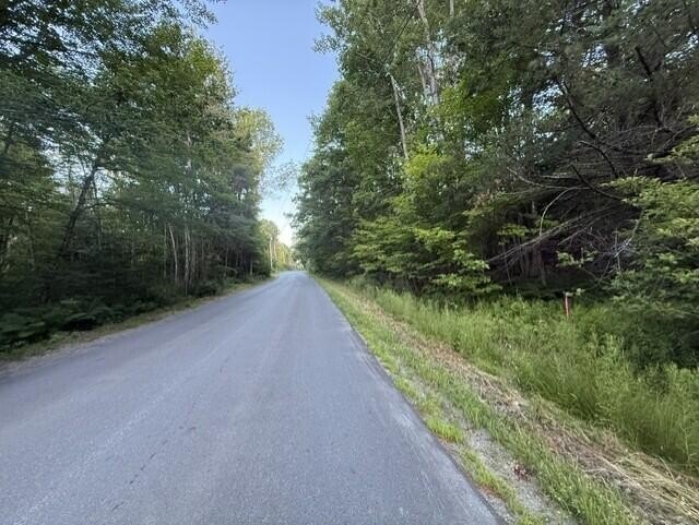 Picture 7