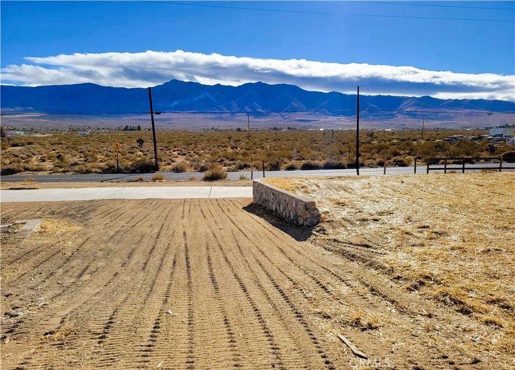 Picture 6