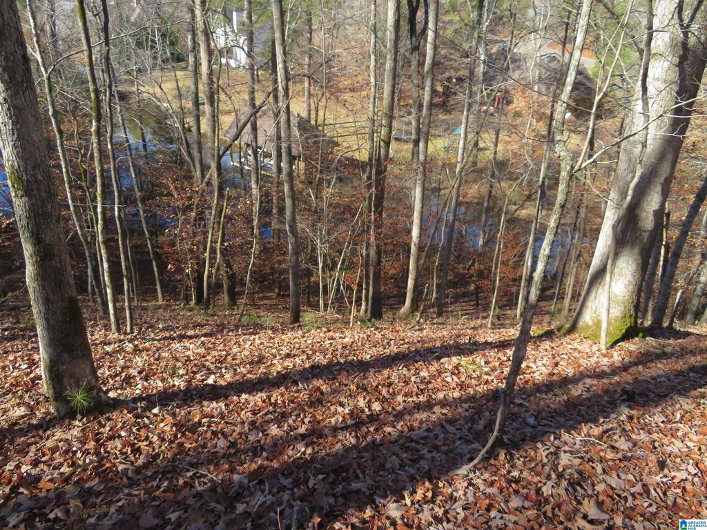 Picture 16