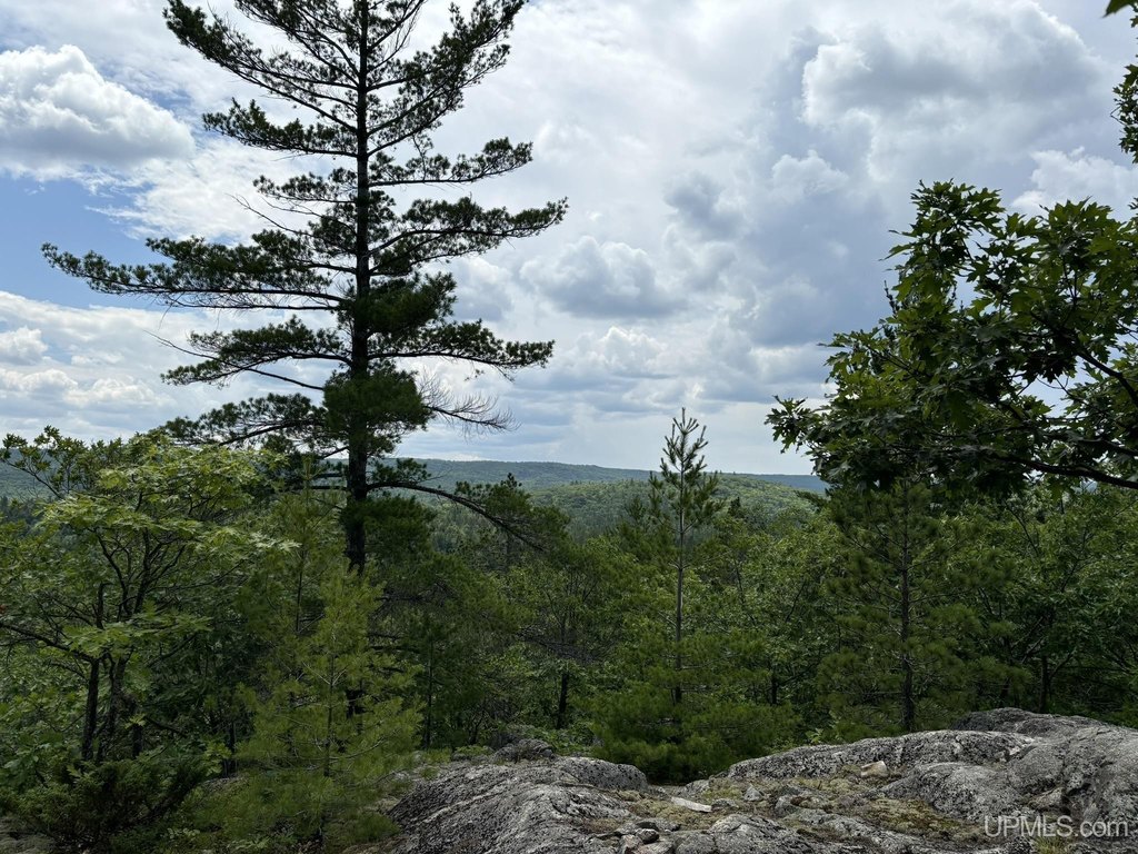 Picture 15