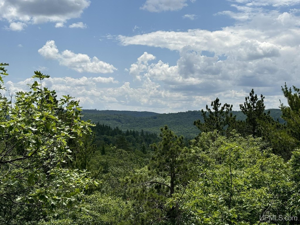 Picture 12