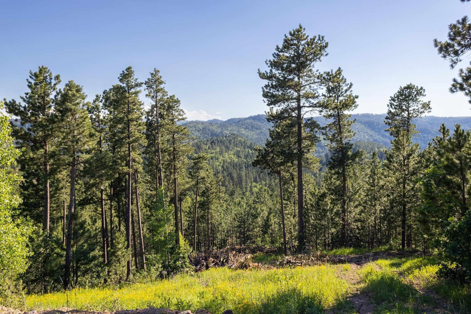 Residential Land with Views