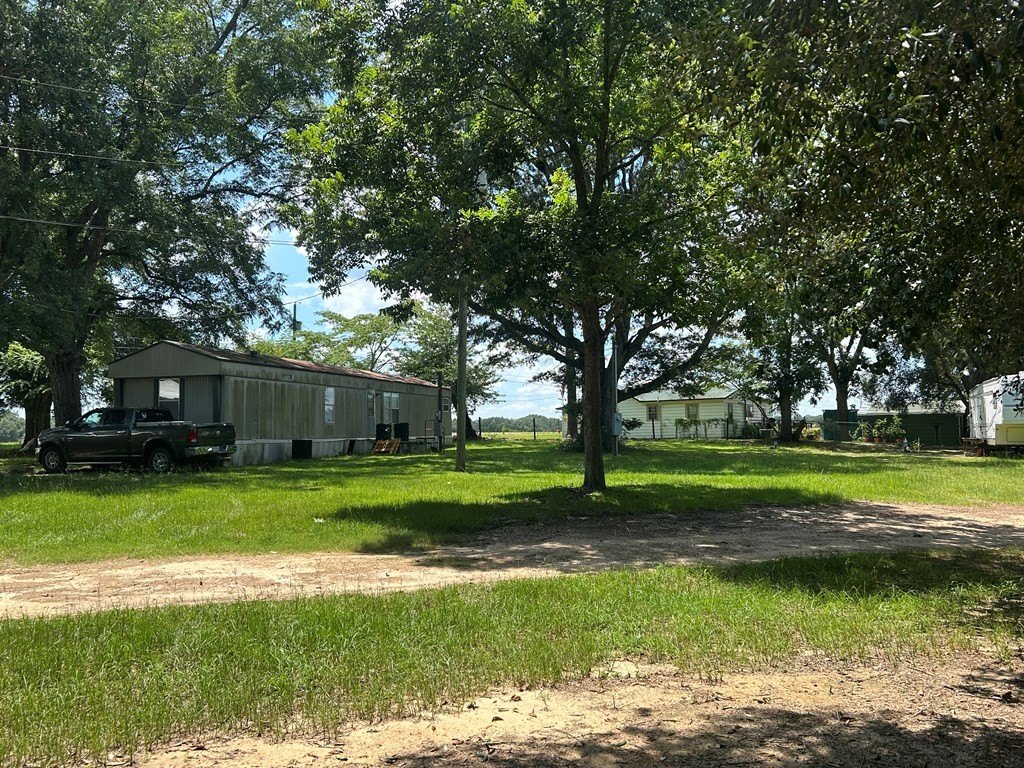 Picture 4