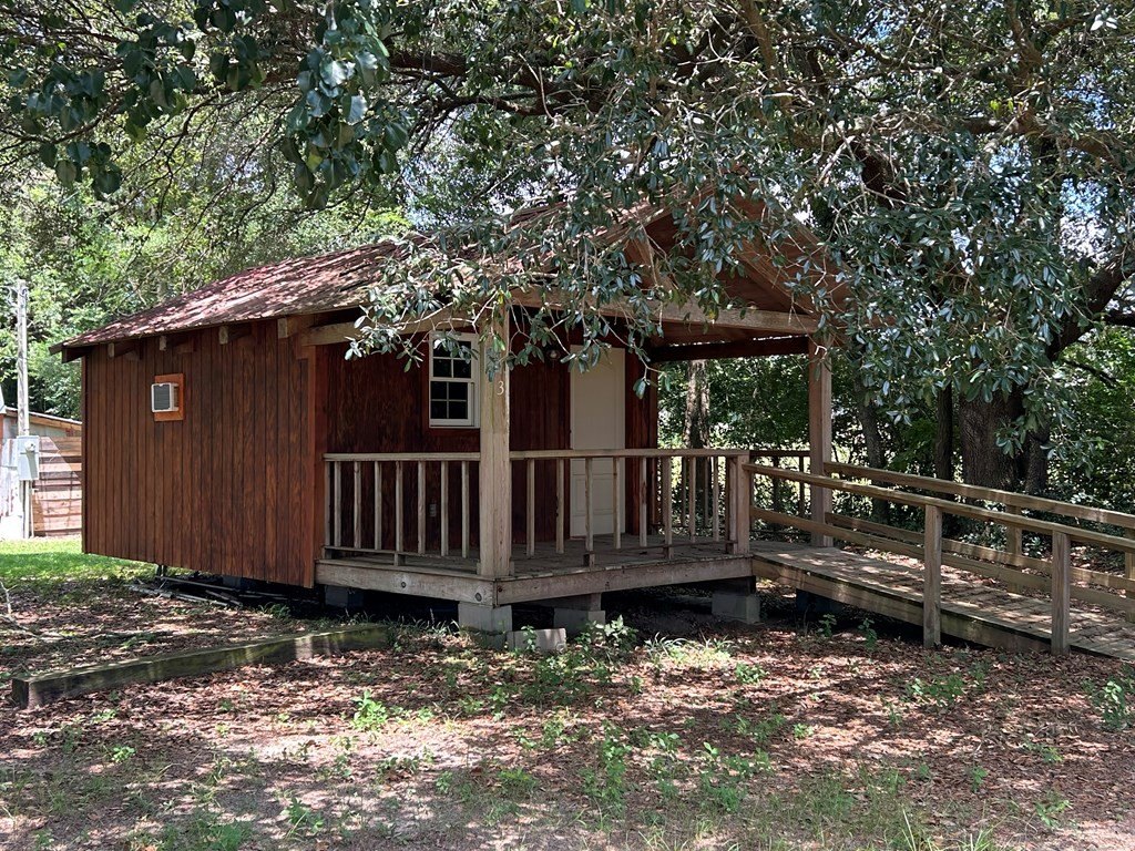Picture 2