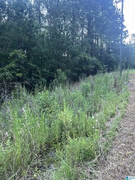 LAND - SYLACAUGA, AL