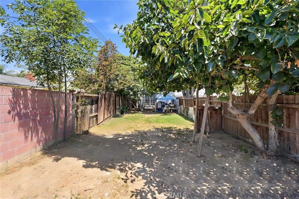 Picture 12