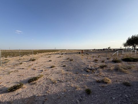 Land, Odessa, TX