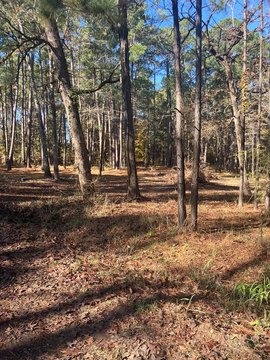 Hemphill Land with Utilities