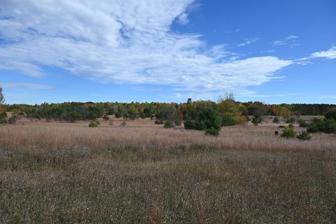 Kalkaska Land Parcel For Sale