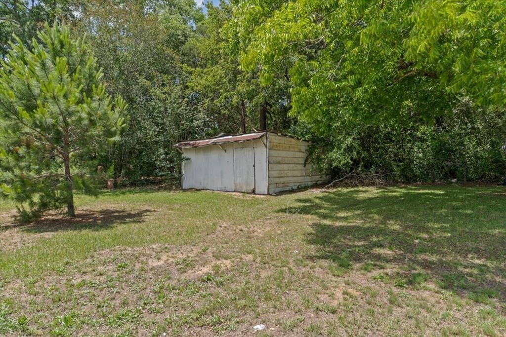 Picture 23