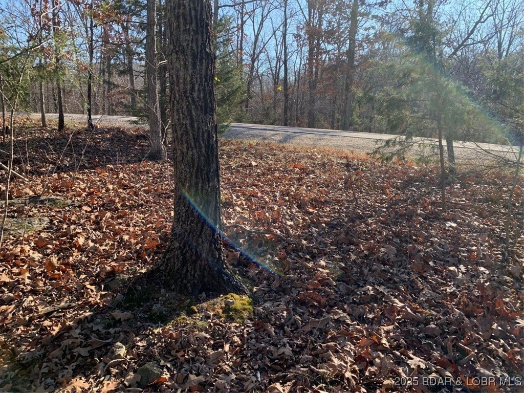 Four Seasons Buildable Lot