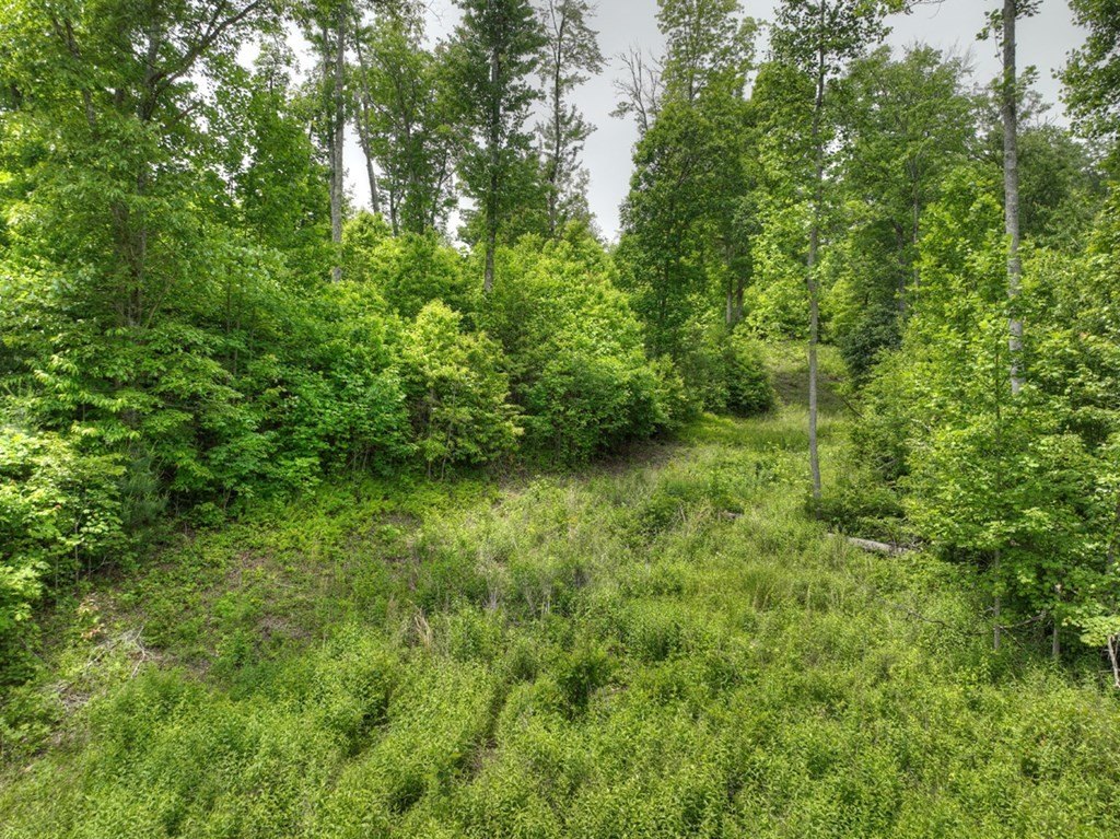 Picture 16