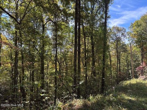 Land, Topton, NC