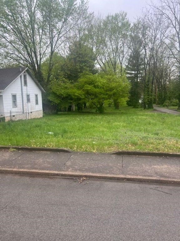 Picture 3