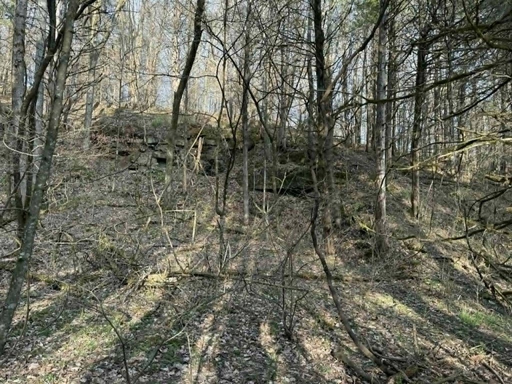 Picture 17