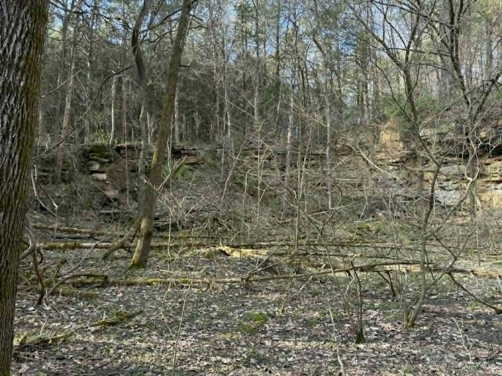 Picture 15