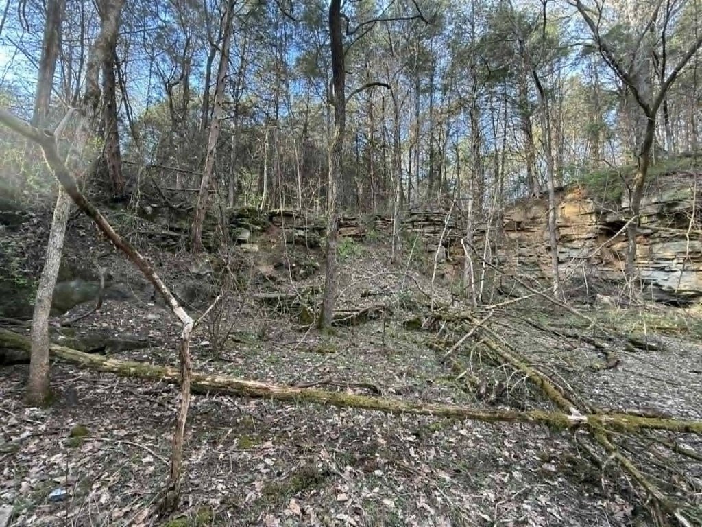 Picture 23