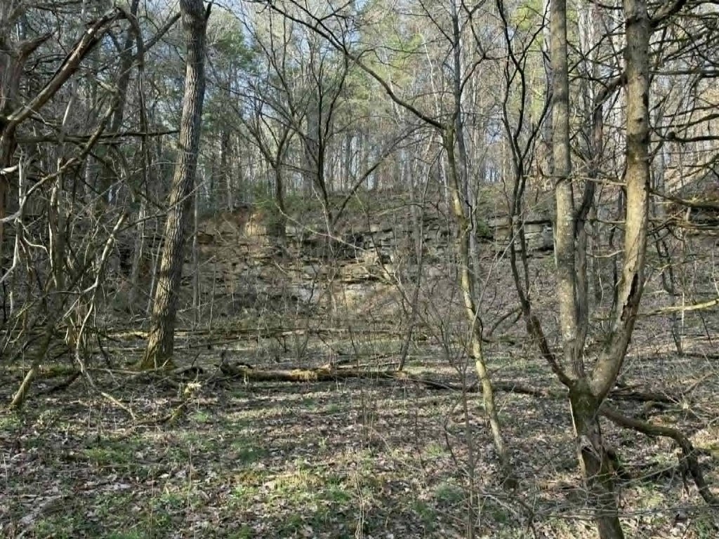 Picture 13