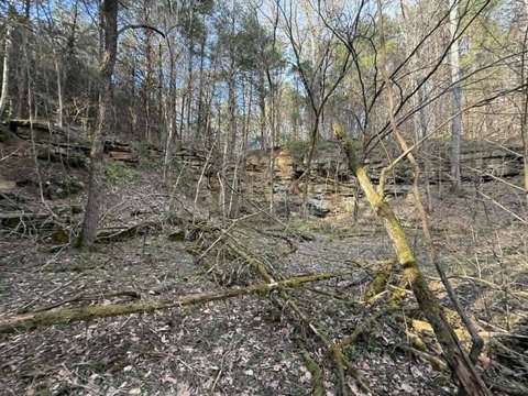 LAND - Albany, KY