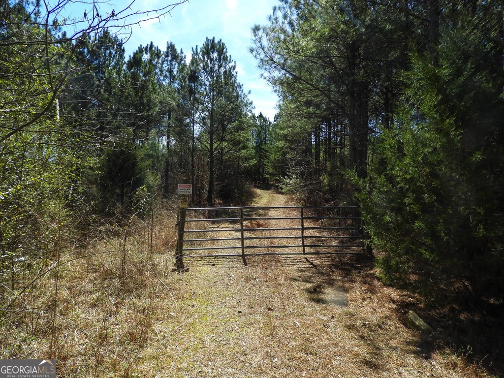 Picture 19