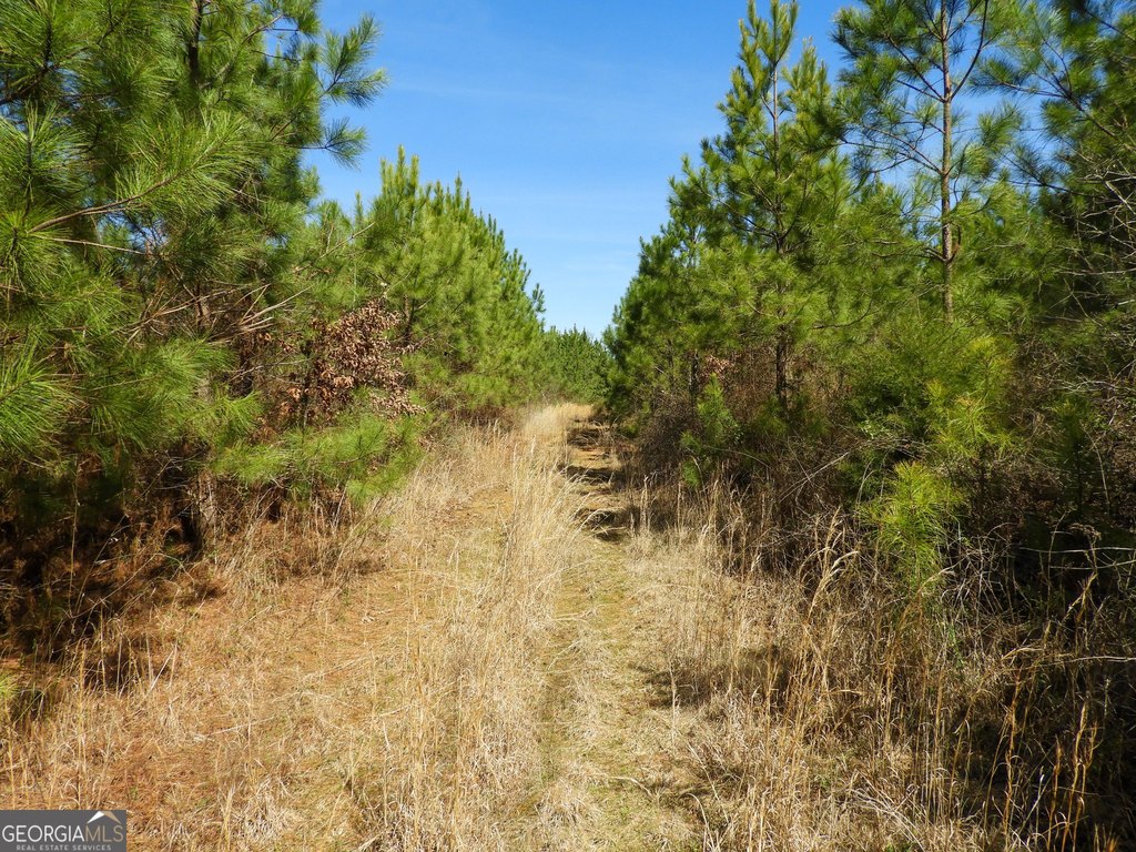 Picture 18