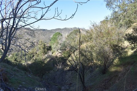 Land in Cedar Glen, CA