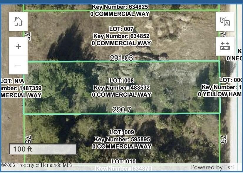 Commercial Land on Commercial Way