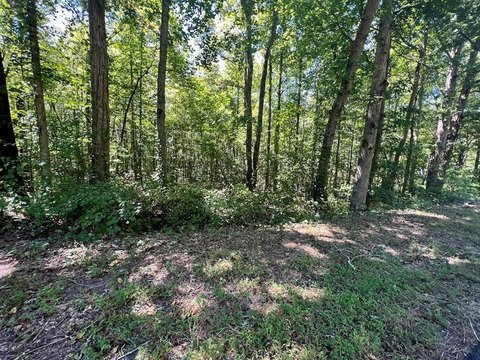 5.62 Acres in Temple, GA