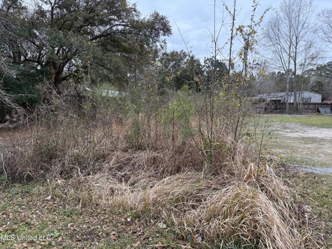 Residential Land in Diamondhead, MS