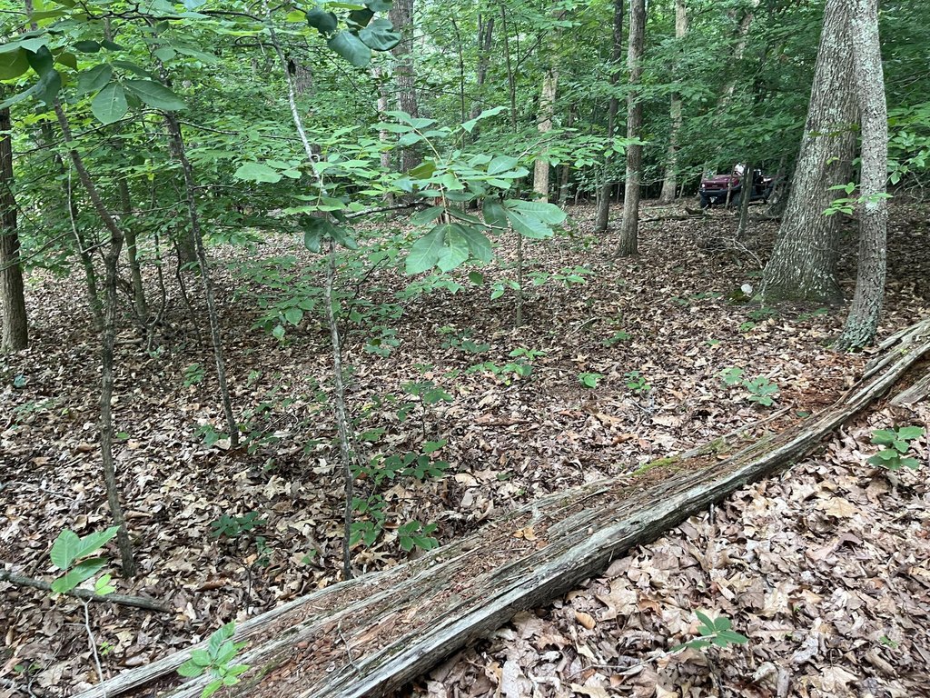 Picture 13