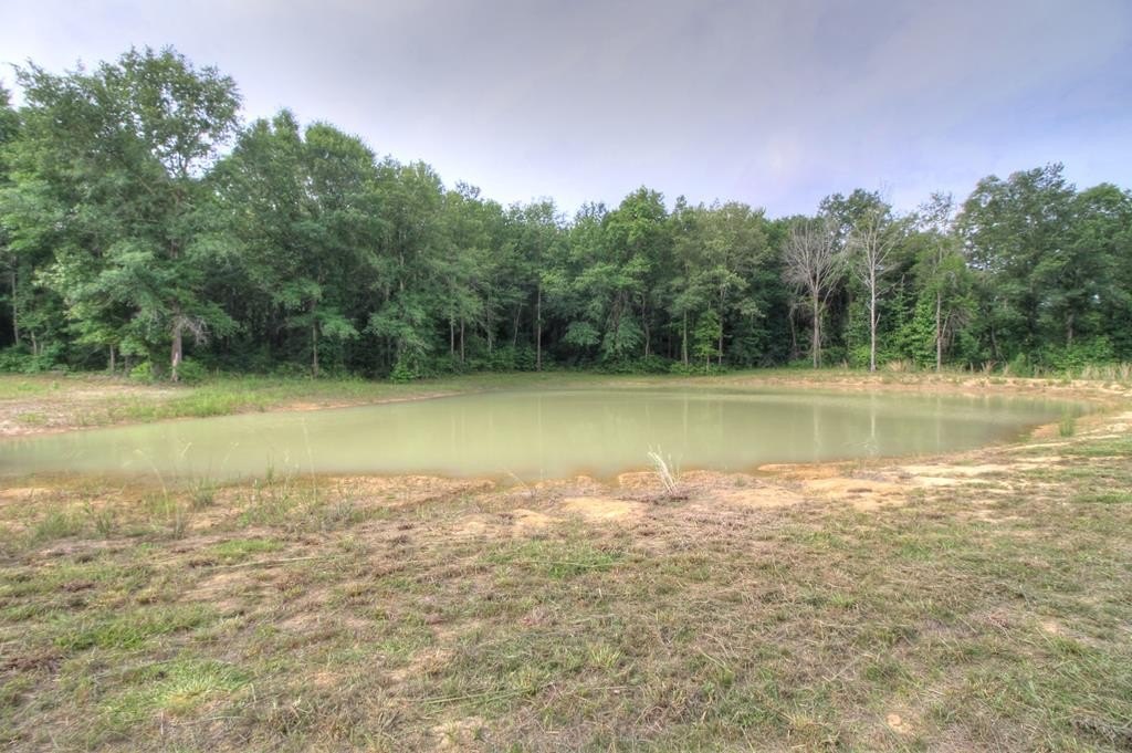 Alto, TX 32.5-Acre Land