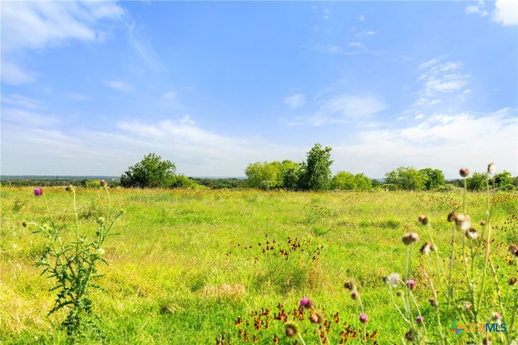 Picture 21