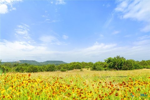 LAND - Kempner, TX