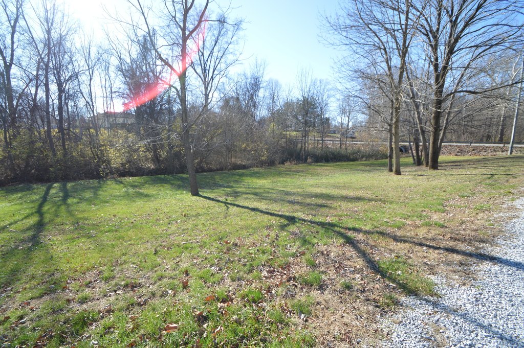 Picture 11