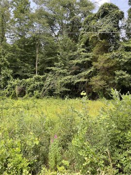 LAND - Holland, MI